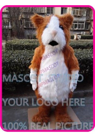 mascot plush Hamsters mascot costume hamster custom cartoon character cosplay fancy dress
