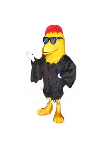 cool bird mascot costume wholesale for sale adult size cartoon black buddy bird theme anime cosplay costumes carnivcal 2717