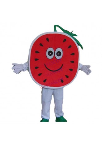 Fruit mascot costume watermelon cartoon costume adult children party fancy dress