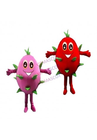 EVA Material Dragon fruit Mascot Costume Fruit Cartoon Apparel Halloween Birthday party Cosplay Adult Size 556
