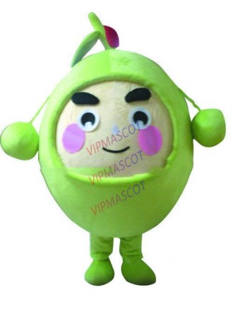 Hot sale Foam Cartoon Character Adult cute green furit Mascot Fancy Dress Halloween party Costume adult size