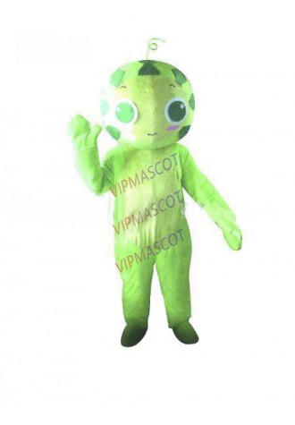 Hot sale Cute Adult cute watermelon mascot costume fancy dress Halloween party costumes adult size