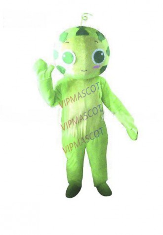 Hot sale Cute Adult cute watermelon mascot costume fancy dress Halloween party costumes adult size