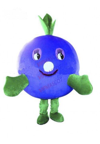 Hot sale Cute Cartoon Character Adult lovely blue onion Mascot Costume fancy dress Halloween party costume