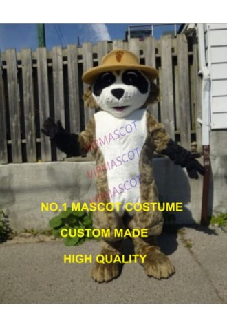 ranger rick racoon mascot costume hot cartoon character racoon theme anime cosply costumes carnival fancy dress 2427