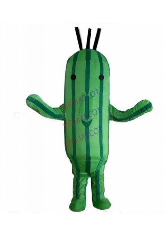 cartoon cucumber mascot costume facotry direct wholesale adult size cactus cucumber theme anime cosplay costumes carnival 2869