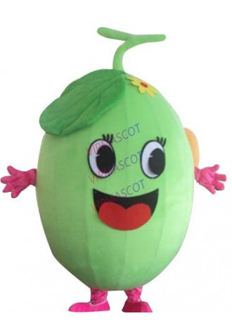 HOT Sale Tulips mascot costume cartoon costume adult children size party fancy dress factory direct sale