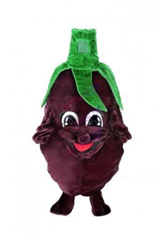 Factory direct EVA Material Eggplant Mascot Costume Vegetables Cartoon Apparel Halloween Birthday Cosplay advertisement 584