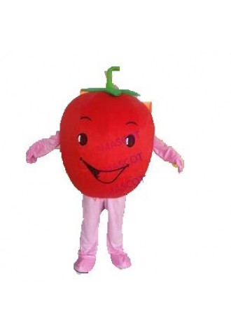 Rapid Make EVA Material tomato Mascot Costume fruit Cartoon Apparel Cosplay advertisement 588