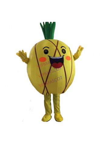 Fruit Cherry Pineapple Mascot Costume Cartoon Character Mascot for Party Halloween Carnival Birthday Cosplay Fancy Apparel