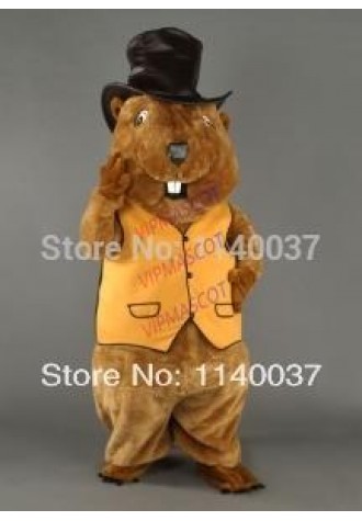 mascot Beaver mascot costume custom costume cosplay Cartoon Character carnival costume fancy Costume party