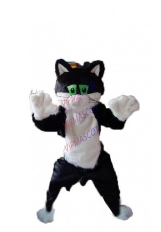 Hot sale Cartoon Character Adult Jess cat  Dress cosplay Halloween  Party Costume