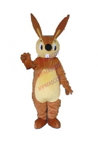 Hot sale Cute Adult squirrel mascot costume animal mascot suit carnival costume fancy dress costumes party costumes