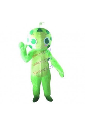 Hot sale Adult New high quality watermelon mascot costumes cartoon Halloween costume