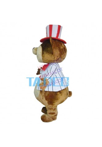 Huge Teddy Mascot Costumes Brown Bear Costumes Free Shipping