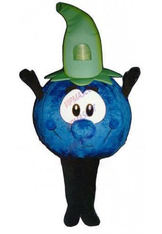happy blueberry fruit mascot costume adult size healthy food theme cartoon blueberry costumes carnival fancy dress suit 2537