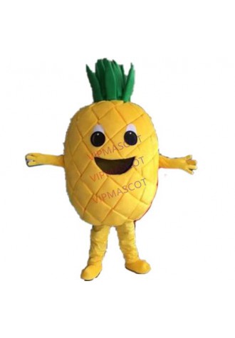Fruit mascot costume Pineapple cartoon costume adult children party fancy dress