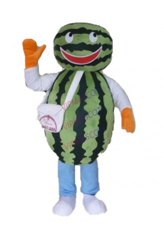 EVA Material watermelon Mascot Costume Fruit Cartoon Apparel Halloween Birthday party Cosplay Adult Size 561