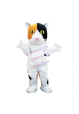 mascot Domestic House Cat Mascot Costume Adult Size Cartoon Character Domestic House Cat Plush Mascotte Outfit free ship
