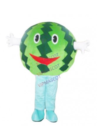 Hot sale Foam Adult lovely watermelon mascot fancy dress costumes cartoon party costumes adult size