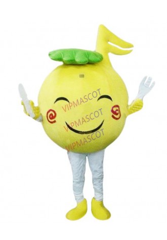 Hot sale Cartoon Character cute Cutie Cake Mascot Costume party costume Adult Size