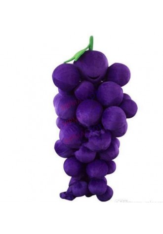 Fruits Vegetables Mascot Costumes Complete Outfits Christmas Grape Costume Adult children size Fancy Halloween Party Dress with