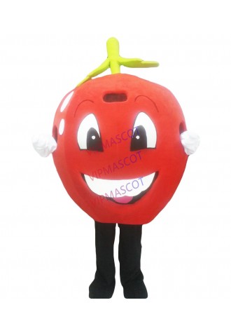 High quality EVA Material Red apple Mascot Costume fruit Cartoon Apparel Cosplay advertisement 585