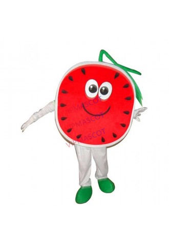 Watermelon Mascot Costume Performance prop costume Adult Outfit