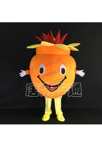 Pomegranate Mascot Costumes Crayon Cartoon Apparel Birthday party Masquerade