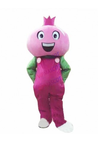 Pomegranate Mascot Costume Plant Cartoon Mascot Costume Activity Fruit Walking Props Doll Advertising Show