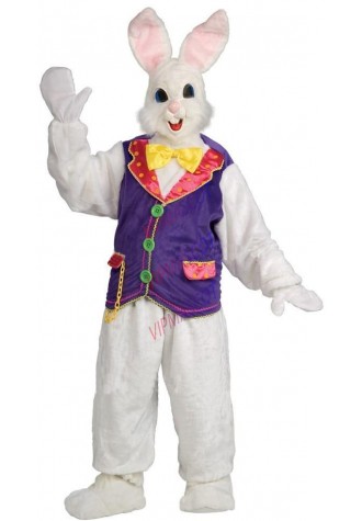 Easter Bunny Rabbit Bugs mascot costume custom costume cosplay Cartoon Character carnival costume fancy Costume party