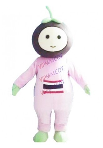 Mangosteen mascot costume custom adult size cartoon character cosplay carnival costume 3268