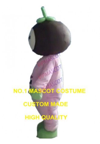 Mangosteen mascot costume custom adult size cartoon character cosplay carnival costume 3268