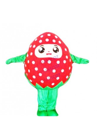 Fruit mascot costume Strawberry cartoon costume adult children party fancy dress
