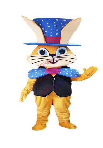 Easter bunney mascot costume  Fancy Party Dress Easter Dress