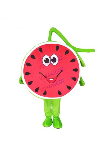 Hot Sale Professional Mascot Costume Adult Size Fruit Watermelon Mascot Costume Halloween Christmas Party Dress Free Shipping