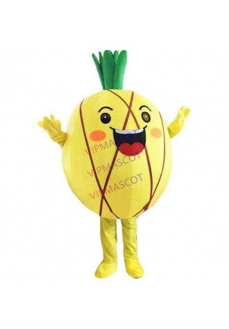 Adult Size Fruit Cherry Pineapple Mascot Costume Cartoon Character Mascot for Party Halloween Carnival Fancy Dress