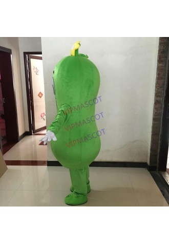 Hot Sale Character Adult Lovely Cucumber Mascot Costume Vegetable Outfit Fancy Dress Halloween Party Costume