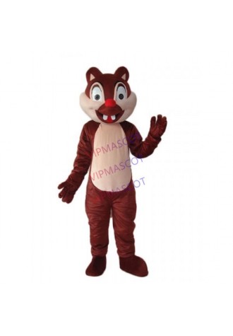 Little Squirrel Mascot Adult Costume