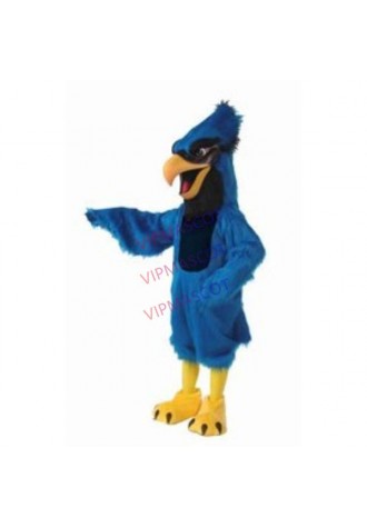 Blue Jay Mascot Costume Cheap