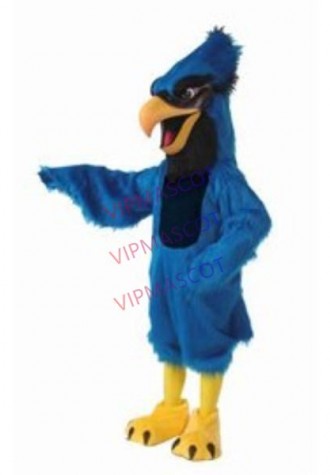 Blue Jay Mascot Costume Cheap