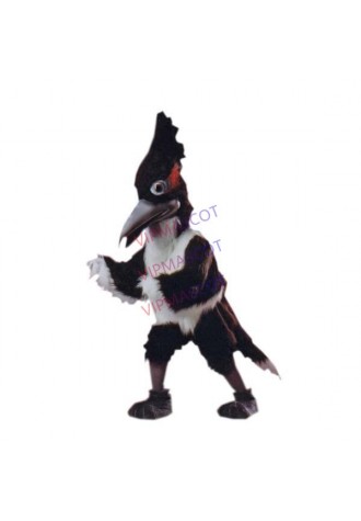 Road Runner Mascot Costume 
