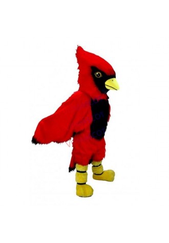 Cardinal Mascot Costume