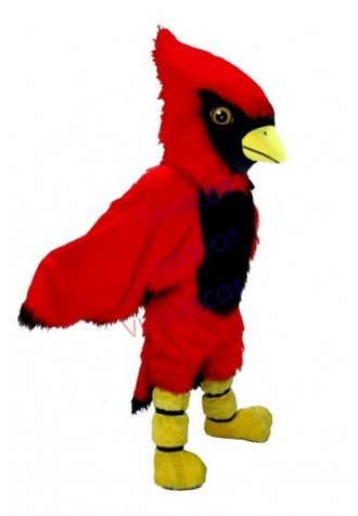 Cardinal Mascot Costume