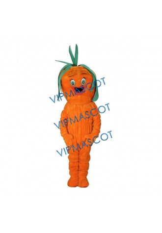 Lovely Carrot Mascot Costume