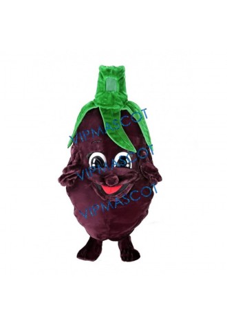 Eggplant Mascot Costume