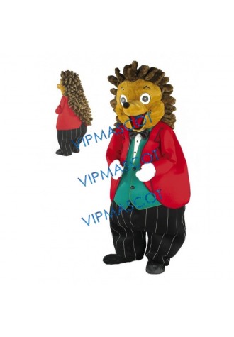 Cute Friendly Hedgehog Mascot Costume