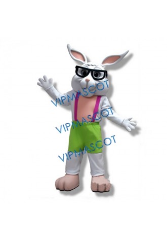 Cute Eyeglasses Rabbit Mascot Costume