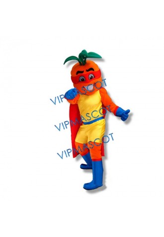 College Cute Mascot Costume