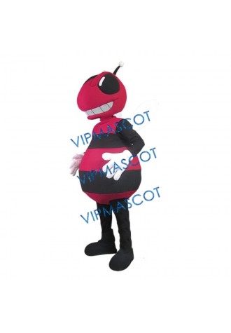 Handsome Bee Mascot Costume High Quality